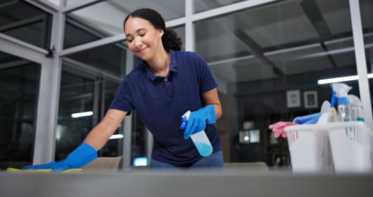 cleaning service spring hill FL