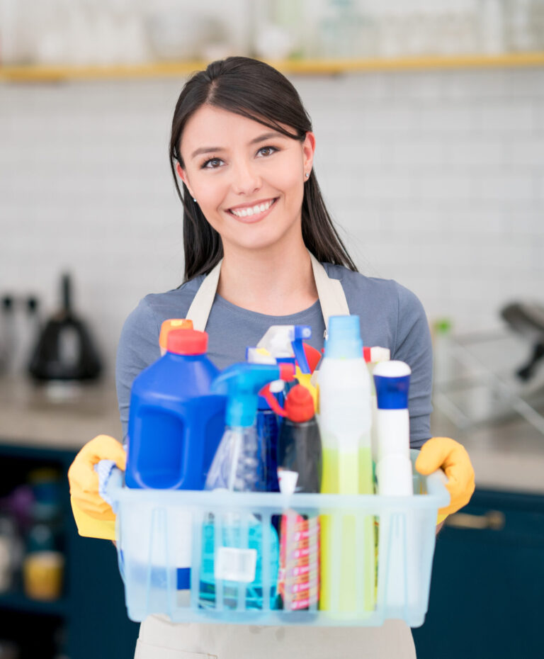 cleaning service spring hill fl
